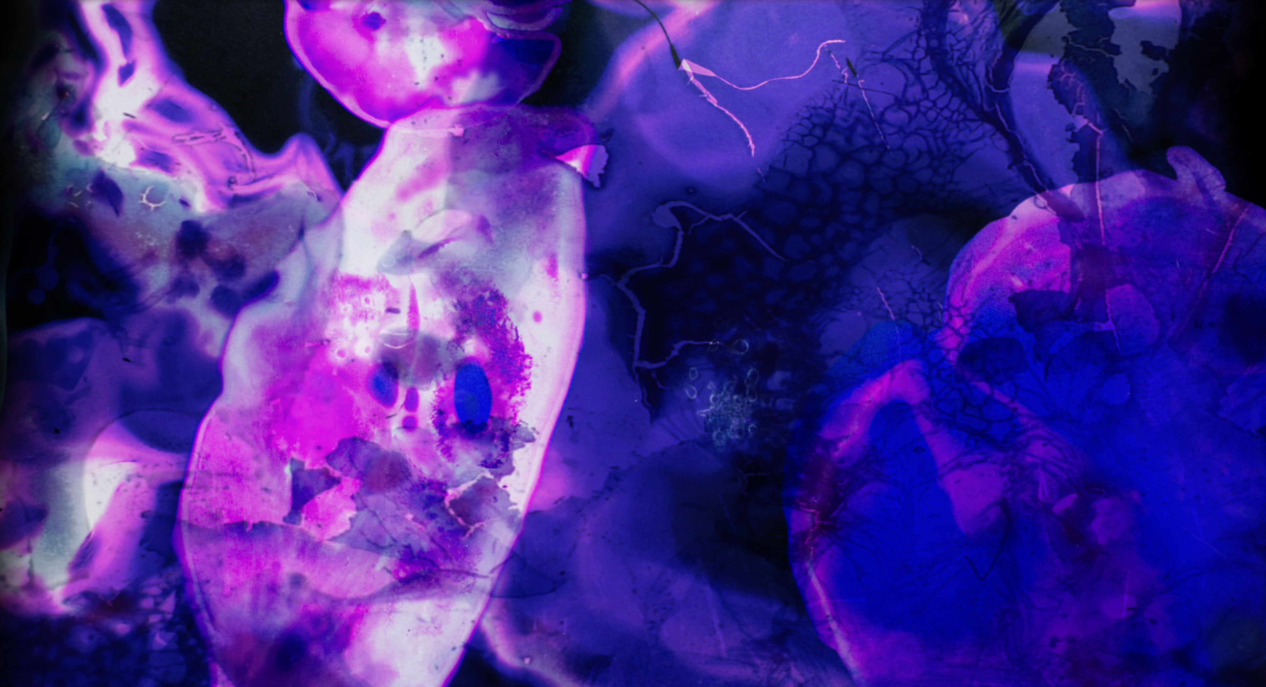 Maarja Nuut ' A FEAST' - HART OF THE WOOD VISUAL