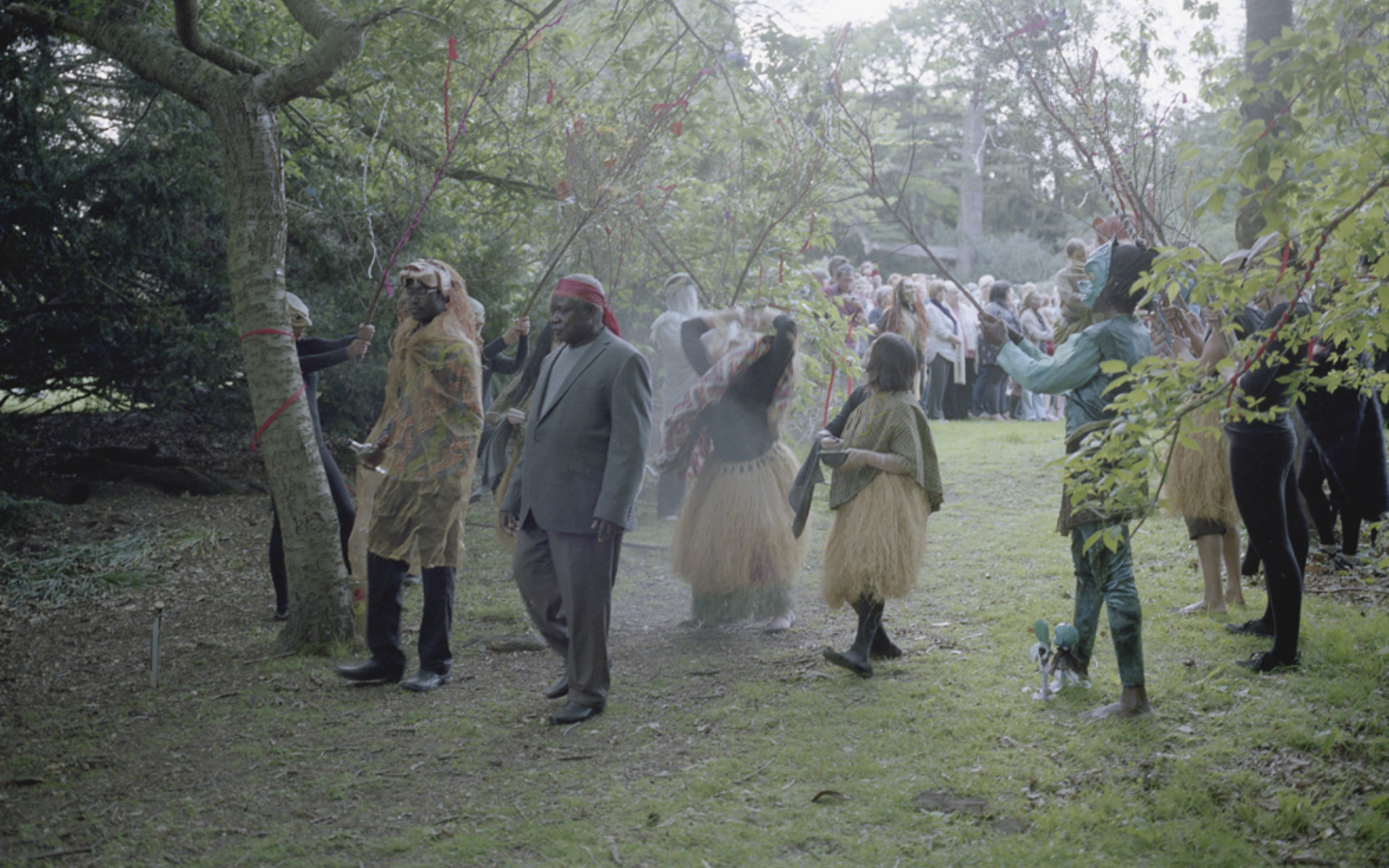 Paa Joe and The Lion