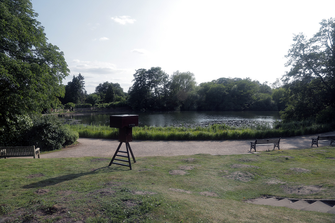 Hart of the Wood at Newstead Abbey