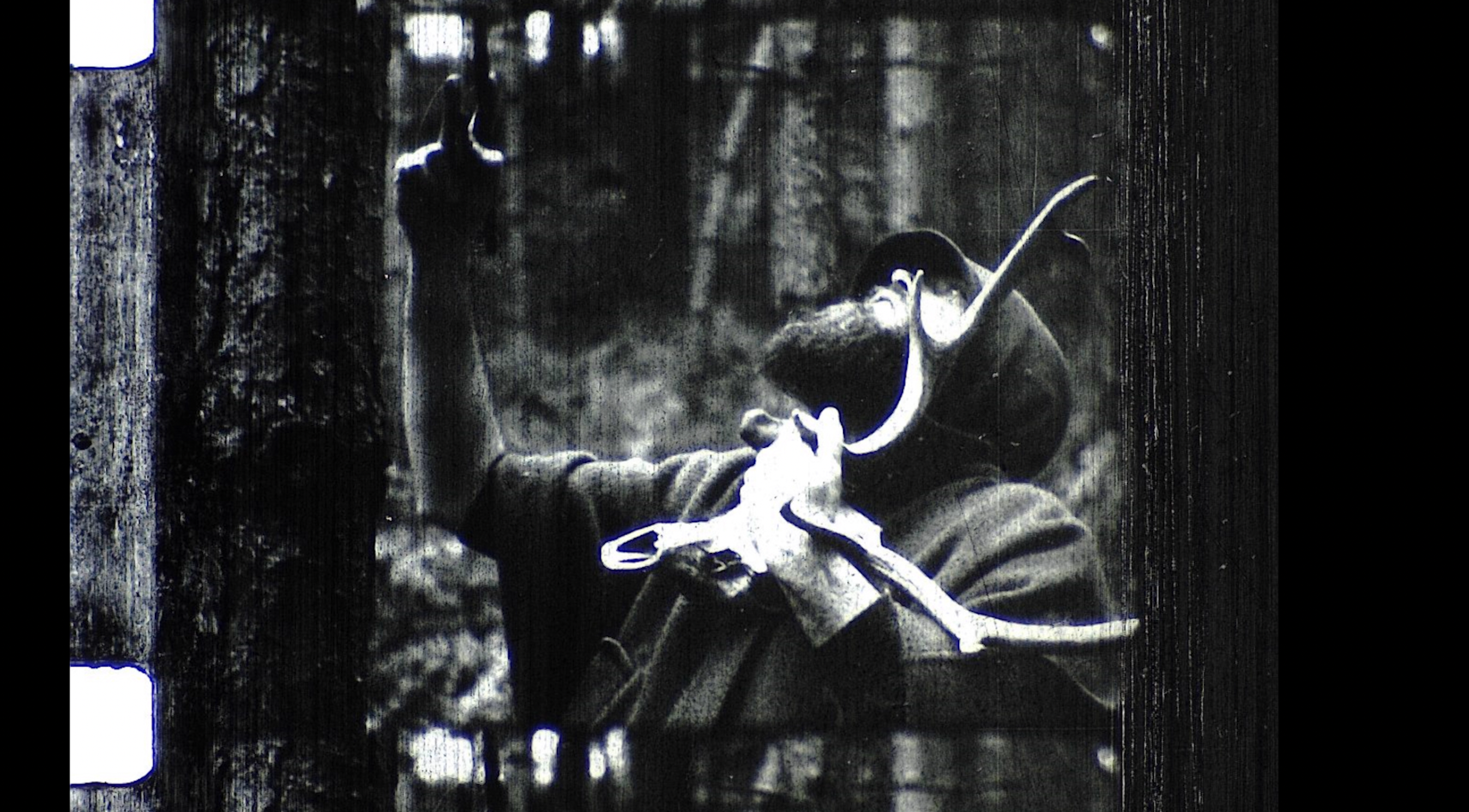 Hart of the Wood at Newstead Abbey